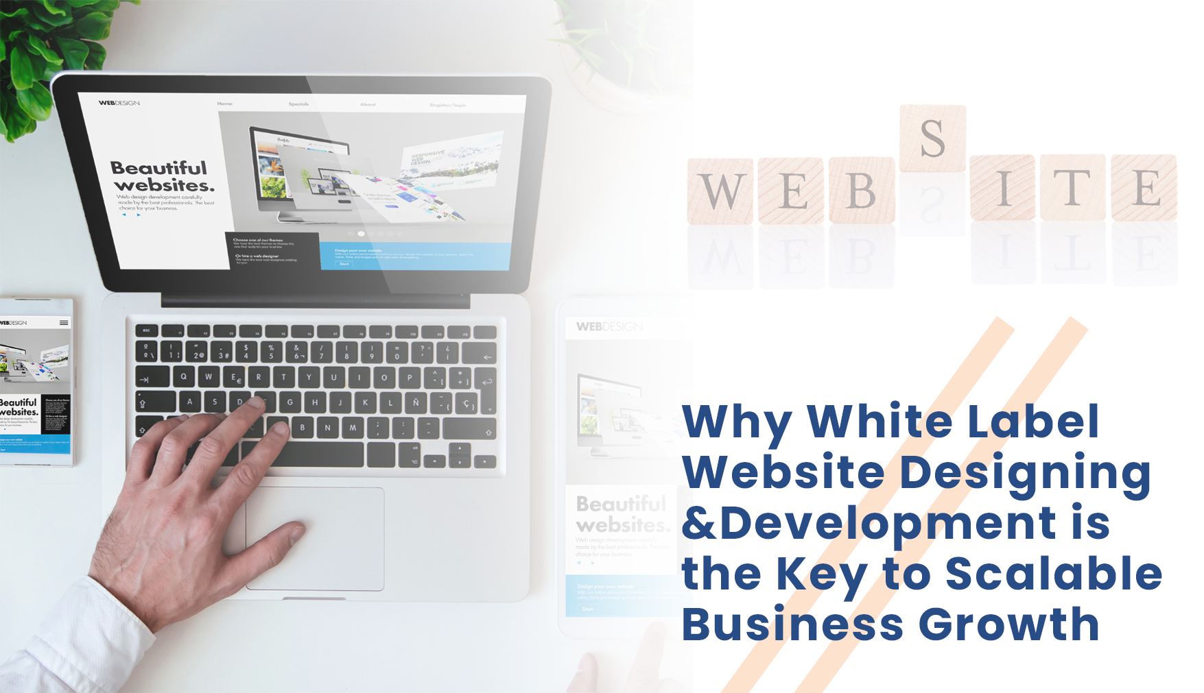 White_Label_Website_Development_&_ Designing_Company